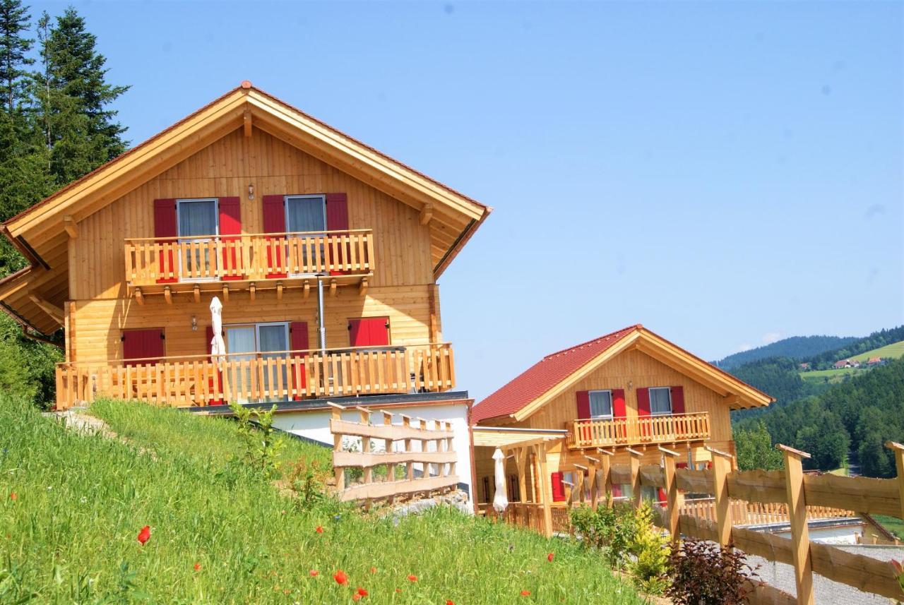 Bergchalet Am Waldrand - Pool, Sauna & Kamin Pollauberg Exterior photo