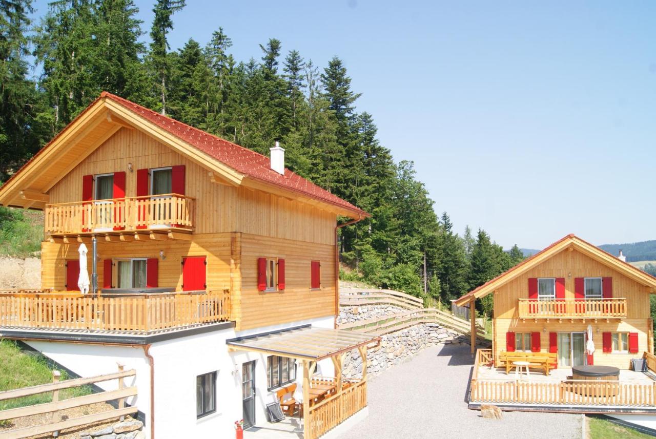 Bergchalet Am Waldrand - Pool, Sauna & Kamin Pollauberg Exterior photo